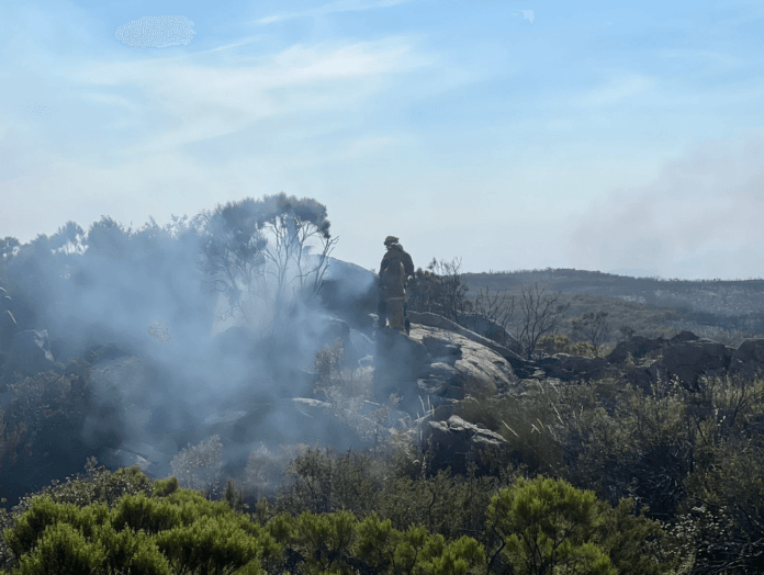 Informa Protección Civil Baja California sobre combate a incendio en el Testerazo. lasnoticias.info