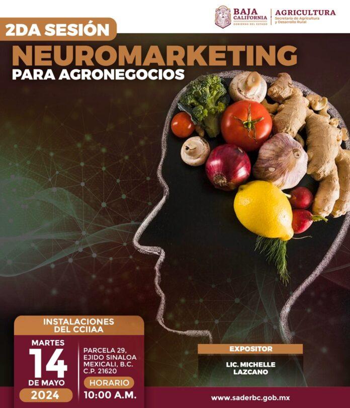 INVITA SADERBC A SEGUNDA SESIÓN DEL TALLER NEUROMARKETING PARA AGRONEGOCIOS. lasnoticias.info