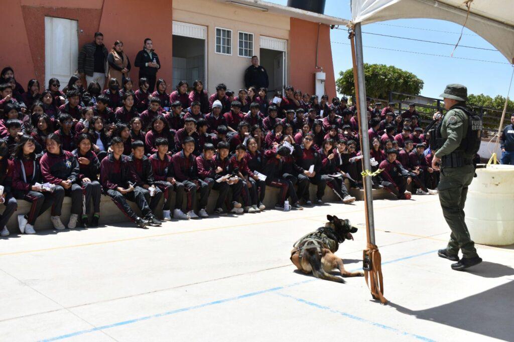 REALIZA SEGURIDAD CIUDADANA FORO VOCACIONAL “CONSTRUYENDO MI FUTURO” EN SAN QUINTÍN. lasnoticias.info