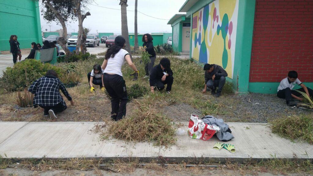 EMPRENDEN ESTUDIANTES DE CONALEP PROYECTO PARA CUIDAR EL MEDIO AMBIENTE. lasnoticias.info