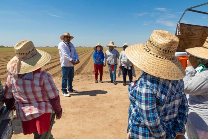 REALIZA STPS BC OPERATIVO DE INSPECCIÓN EN EMPRESAS AGRÍCOLAS DEL VALLE DE MEXICALI. lasnoticias.info