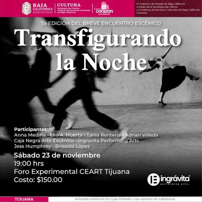 CEART TIJUANA E INGRÁVITA PERFORMING ARTS INVITAN A LA VII EDICIÓN DEL “BREVE ENCUENTRO ESCÉNICO TRANSFIGURANDO LA NOCHE”. lasnoticias.info