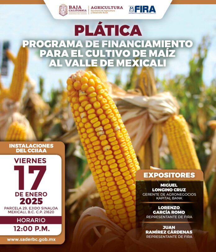 INVITA SADERBC A PLÁTICA SOBRE FINANCIAMIENTO PARA EL CULTIVO DE MAÍZ EN EL VALLE DE MEXICALI. lasnoticias.info